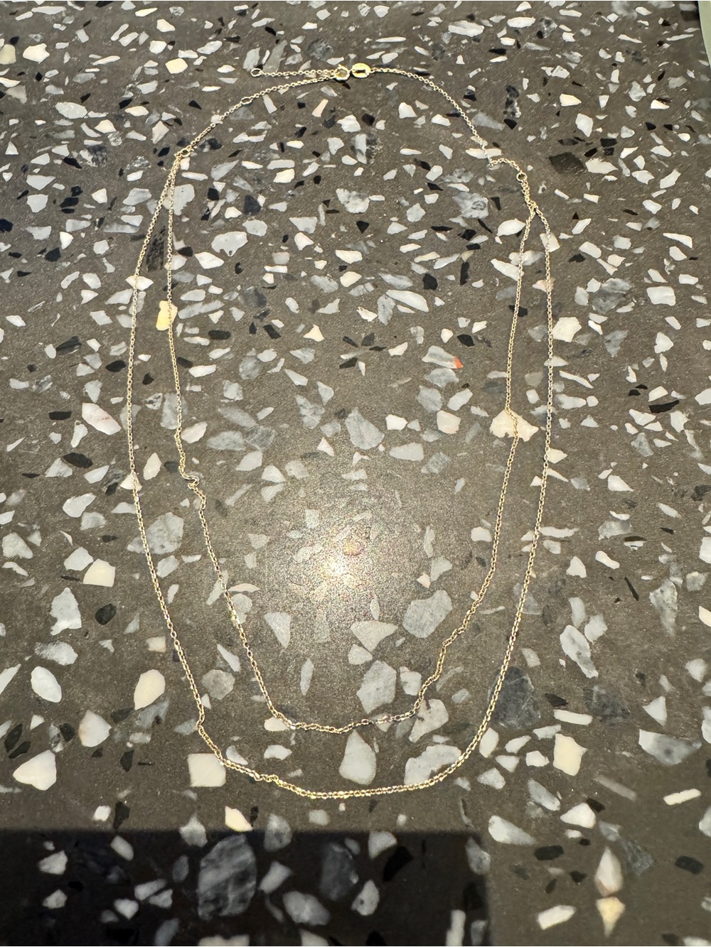 14k Double Layered Necklace